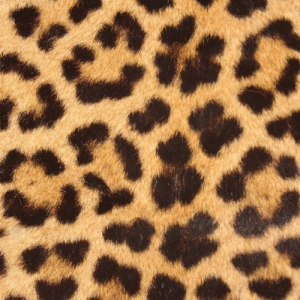 Glam Rock Print