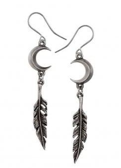 Pagan Dream Catcher Earrings