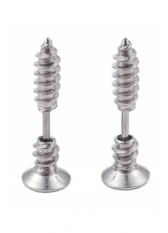 Silver Screw Stud Earrings