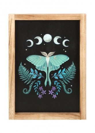 Gothic Homeware Luna Moth Framed Wall Art Print