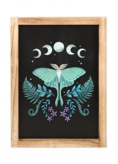 Luna Moth Framed Wall Art Print