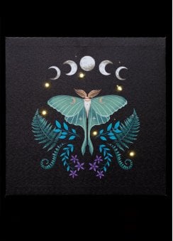 Luna Moth Light Up Canvas Plaque