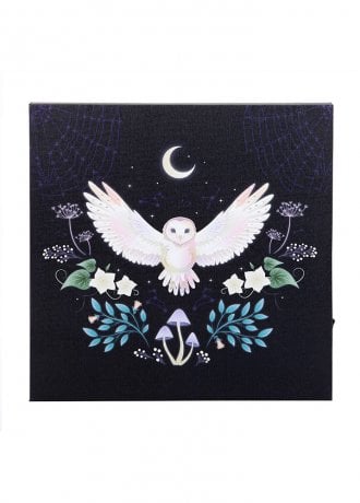 Gothic Homeware Night Owl Light Up Canvas Plaque