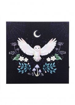 Night Owl Light Up Canvas Plaque