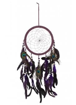 Peacock Feather Dreamcatcher