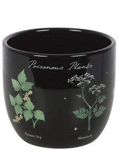 Poisonous Plants Ceramic Plant Pot
