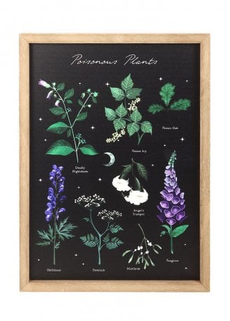 Gothic Homeware Poisonous Plants Framed Wall Art Print