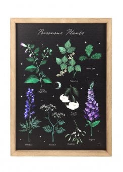 Poisonous Plants Framed Wall Art Print