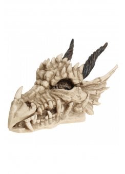 Dragon Skull Box
