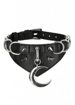 Moon & D-Ring Collar